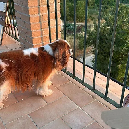 Terrazza Sulle Vette Apartment *